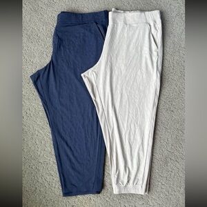 Athleta Brooklyn Textured Ankle Pant Textured Jogger Active Bundle Size 24 NWOT